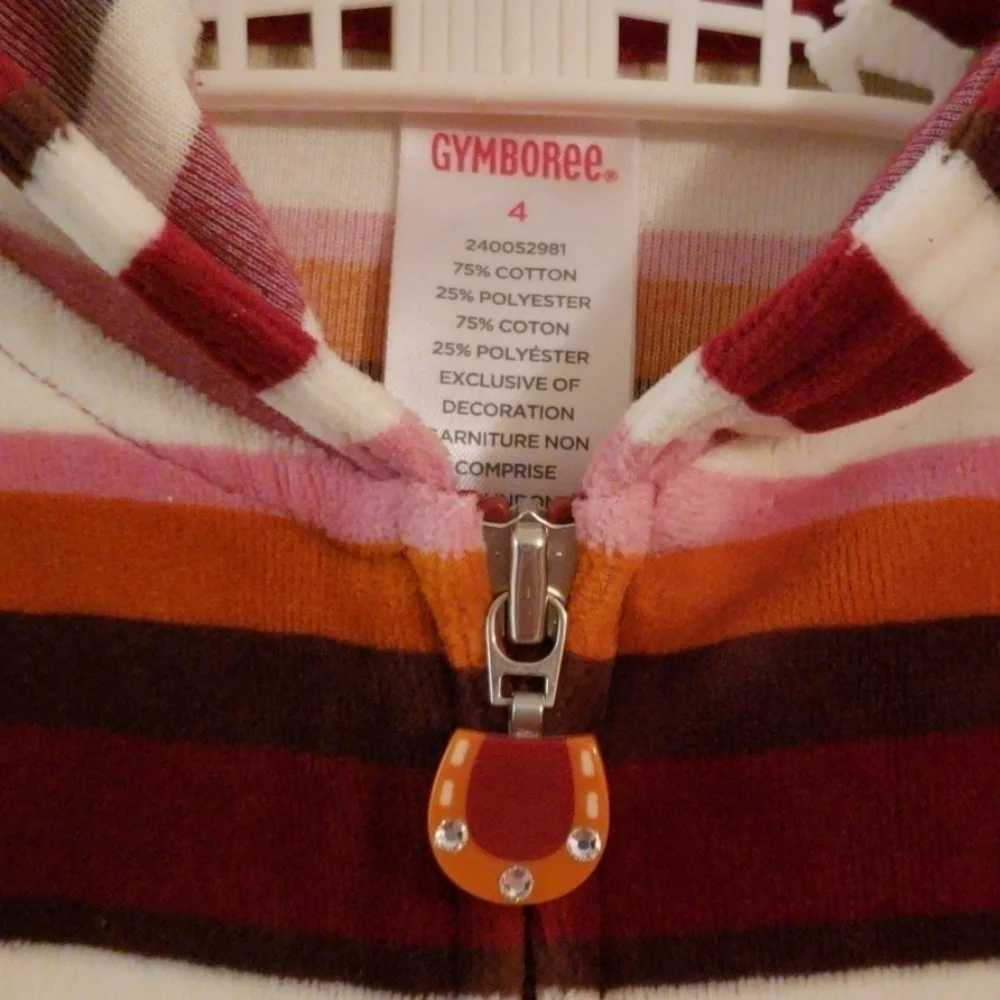 Gymboree Velour Striped Hoodie
